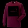 Kids raglan sleeve sweatshirt Thumbnail