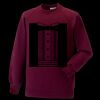 Kids raglan sleeve sweatshirt Thumbnail