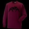Kids raglan sleeve sweatshirt Thumbnail