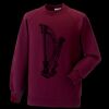 Kids raglan sleeve sweatshirt Thumbnail