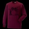 Kids raglan sleeve sweatshirt Thumbnail