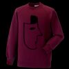 Kids raglan sleeve sweatshirt Thumbnail
