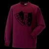 Kids raglan sleeve sweatshirt Thumbnail