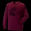 Kids raglan sleeve sweatshirt Thumbnail