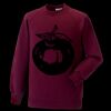 Kids raglan sleeve sweatshirt Thumbnail