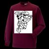 Kids raglan sleeve sweatshirt Thumbnail