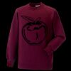 Kids raglan sleeve sweatshirt Thumbnail