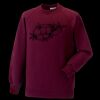 Kids raglan sleeve sweatshirt Thumbnail