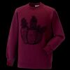 Kids raglan sleeve sweatshirt Thumbnail