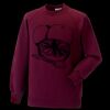 Kids raglan sleeve sweatshirt Thumbnail