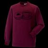 Kids raglan sleeve sweatshirt Thumbnail