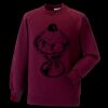 Kids raglan sleeve sweatshirt Thumbnail