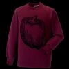 Kids raglan sleeve sweatshirt Thumbnail