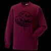 Kids raglan sleeve sweatshirt Thumbnail