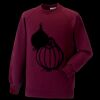 Kids raglan sleeve sweatshirt Thumbnail