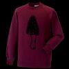 Kids raglan sleeve sweatshirt Thumbnail
