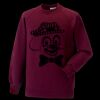 Kids raglan sleeve sweatshirt Thumbnail