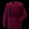 Kids raglan sleeve sweatshirt Thumbnail