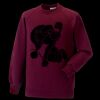 Kids raglan sleeve sweatshirt Thumbnail