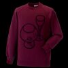 Kids raglan sleeve sweatshirt Thumbnail