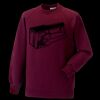 Kids raglan sleeve sweatshirt Thumbnail