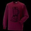 Kids raglan sleeve sweatshirt Thumbnail