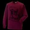 Kids raglan sleeve sweatshirt Thumbnail
