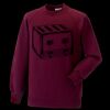 Kids raglan sleeve sweatshirt Thumbnail