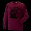 Kids raglan sleeve sweatshirt Thumbnail