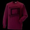 Kids raglan sleeve sweatshirt Thumbnail