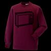 Kids raglan sleeve sweatshirt Thumbnail