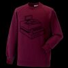 Kids raglan sleeve sweatshirt Thumbnail