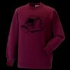 Kids raglan sleeve sweatshirt Thumbnail