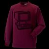 Kids raglan sleeve sweatshirt Thumbnail