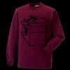 Kids raglan sleeve sweatshirt Thumbnail