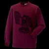 Kids raglan sleeve sweatshirt Thumbnail