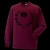 Kids raglan sleeve sweatshirt Thumbnail