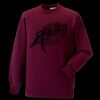 Kids raglan sleeve sweatshirt Thumbnail