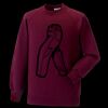 Kids raglan sleeve sweatshirt Thumbnail