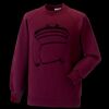 Kids raglan sleeve sweatshirt Thumbnail