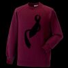 Kids raglan sleeve sweatshirt Thumbnail