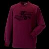 Kids raglan sleeve sweatshirt Thumbnail