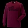 Kids raglan sleeve sweatshirt Thumbnail