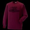 Kids raglan sleeve sweatshirt Thumbnail