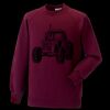 Kids raglan sleeve sweatshirt Thumbnail