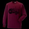 Kids raglan sleeve sweatshirt Thumbnail