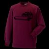 Kids raglan sleeve sweatshirt Thumbnail