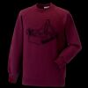 Kids raglan sleeve sweatshirt Thumbnail