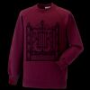 Kids raglan sleeve sweatshirt Thumbnail