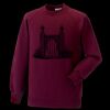 Kids raglan sleeve sweatshirt Thumbnail